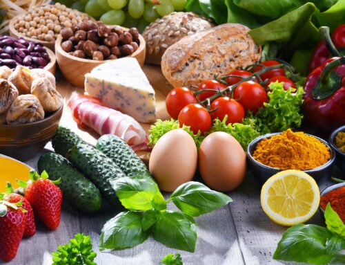 Fit-Food – So geht Ernährung heute