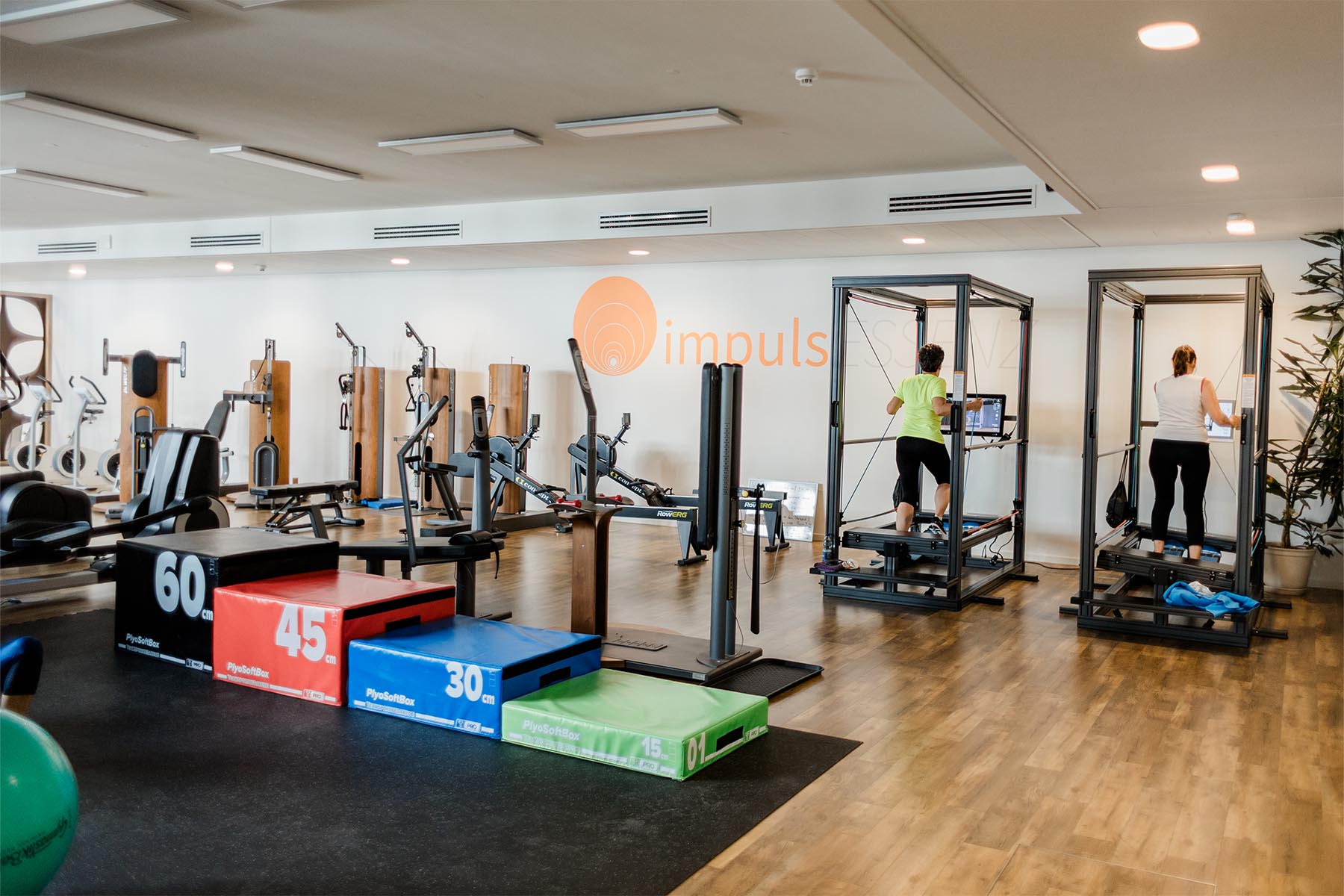 Funktioneller Trainingsbereich mit Freihanteln, Trainingsflächen und moderner Ausstattung - impulsESSENZ in Böblingen